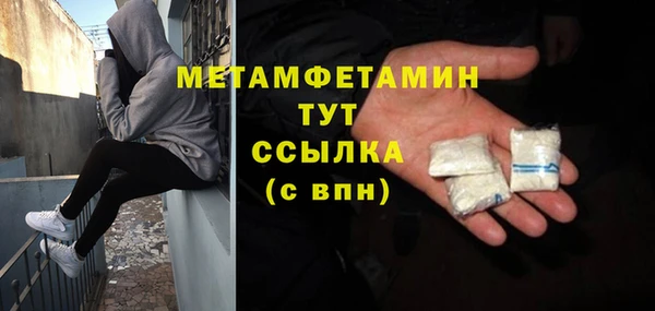 прущие грибы Мегион