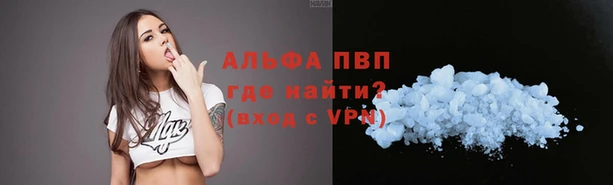 индика Михайлов