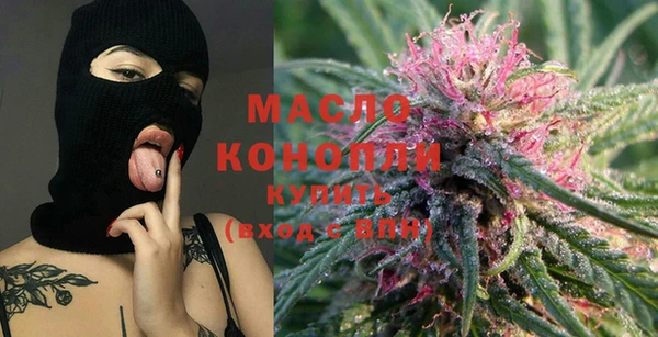 индика Михайлов
