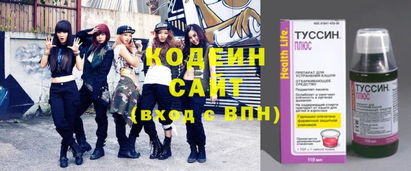 индика Михайлов
