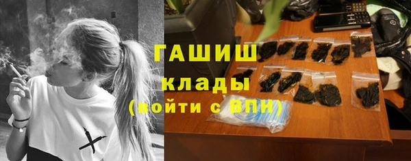 индика Михайлов