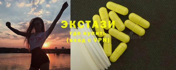 индика Михайлов