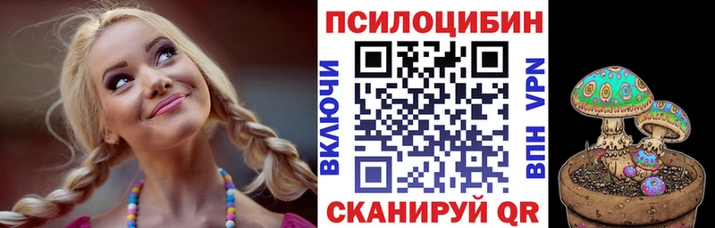 Галлюциногенные грибы Psilocybine cubensis Кущёвская